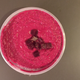 Illustration for article titled Bougie Food Review: Beet Hummus